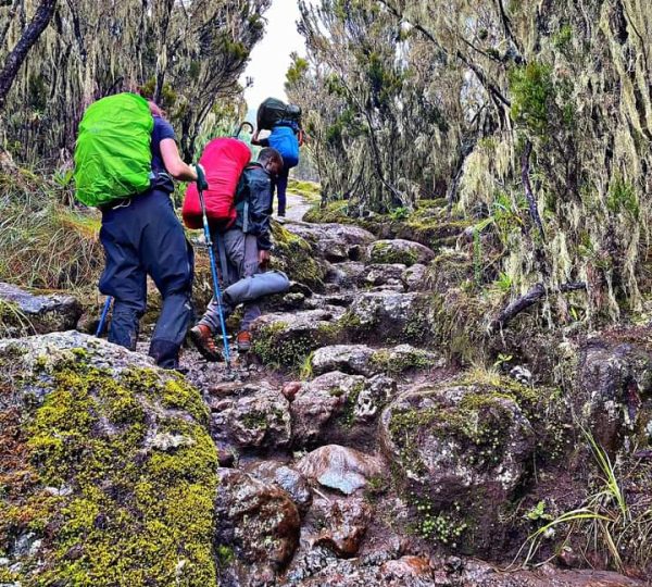 virtual 360° hike preview